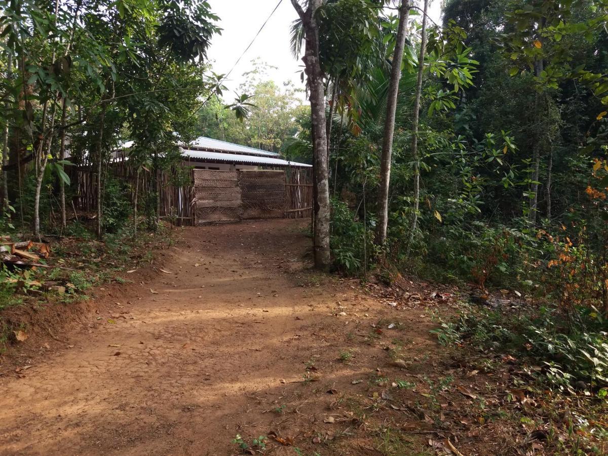 Cashew Villa Hiriketiya ديكويلاّ تين المظهر الخارجي الصورة
